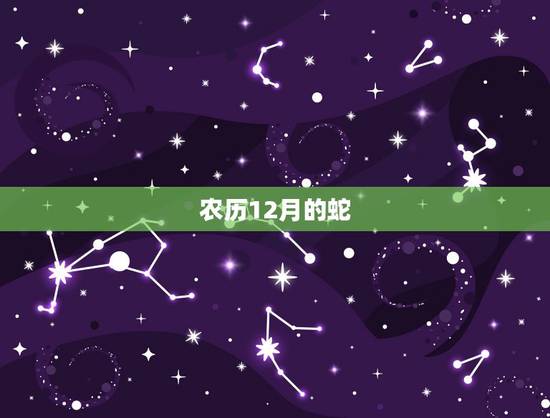 农历12月的蛇,腊月蛇是什么命 农历12月的蛇,腊月蛇是什么命