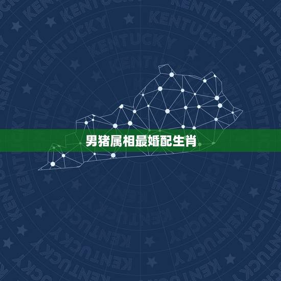 男猪属相最婚配生肖，属猪的男人和什么属相最配
