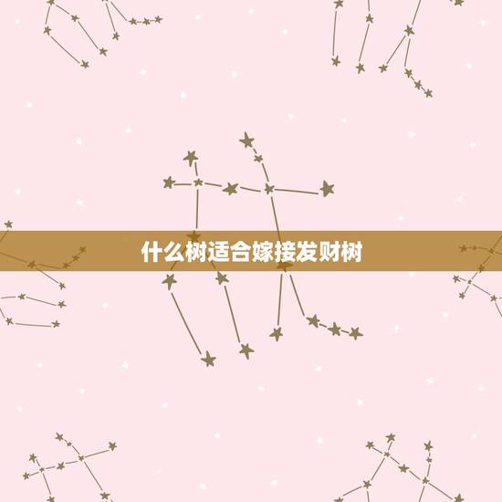 什么树适合嫁接发财树，怎样嫁接发财树
