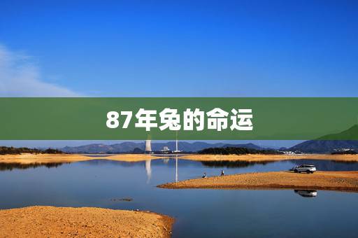 87年兔的命运,几月的兔命运更好 87年兔的命运,几月的兔命运更好