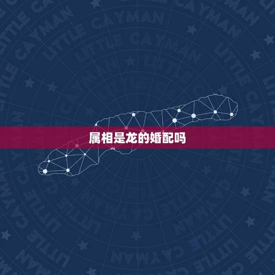 属相是龙的婚配吗，属龙的和那些属相比较婚配？