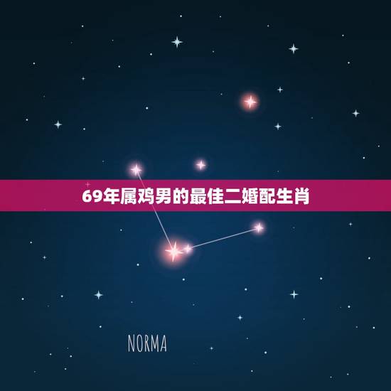 69年属鸡男的最佳二婚配生肖，1969年属鸡的人和什么生肖最配合