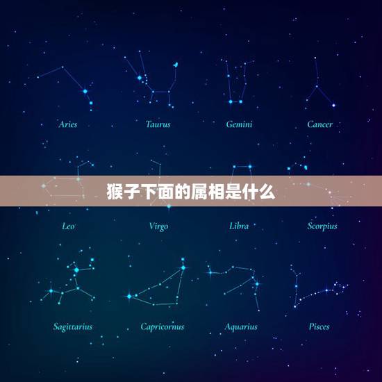 猴子下面的属相是什么，买猴前猴后的生肖是什么生肖？