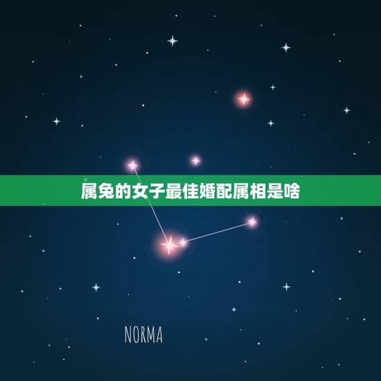 属兔的女子最佳婚配属相是啥,属兔的要与属什么的相配最好 属兔的女子最佳婚配属相是啥,属兔的要与属什么的相配最好