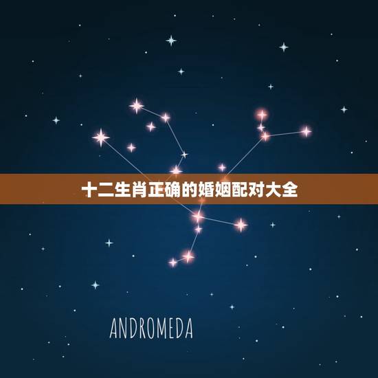 十二生肖正确的婚姻配对大全，十二生肖更佳婚姻配对