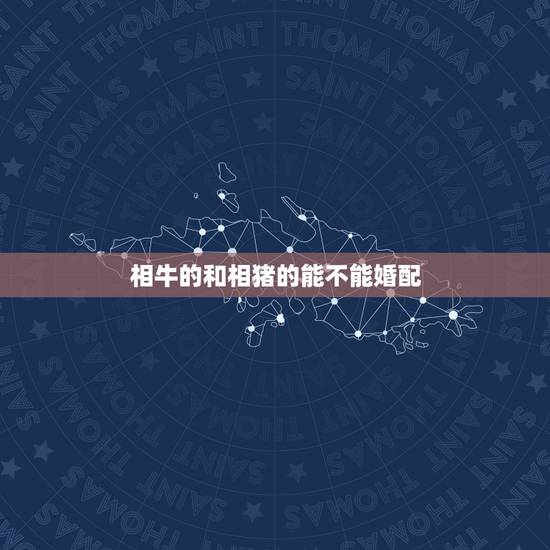 相牛的和相猪的能不能婚配，属猪的与属牛的人在一起般配吗？