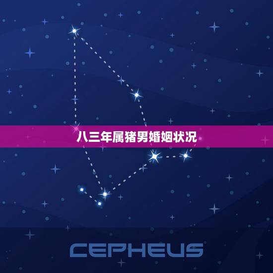 八三年属猪男婚姻状况,属猪的八三年男的和八一年女的婚烟好吗 八三年属猪男婚姻状况,属猪的八三年男的和八一年女的婚烟好吗