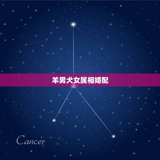 羊男犬女属相婚配，属狗女配什么属相好