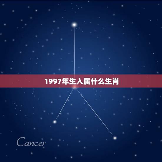 1997年生人属什么生肖，出生1997年的人是什么生肖？