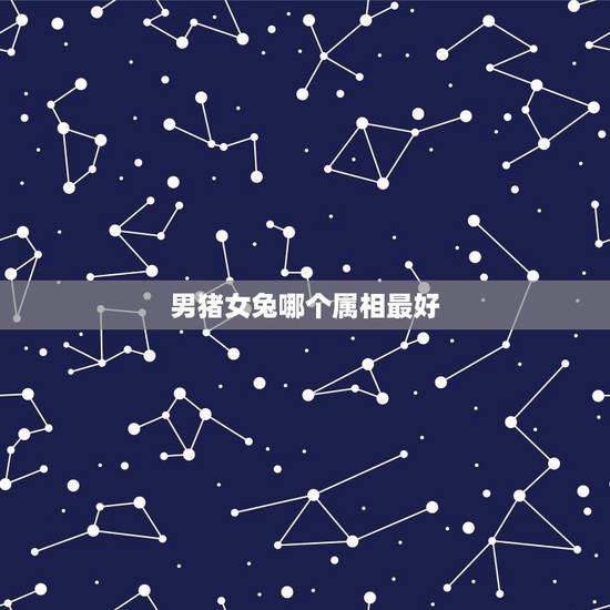 男猪女兔哪个属相最好，属猪男和属兔女配不配