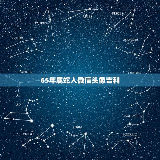 65年属蛇人微信头像吉利，属蛇女微信头像图片