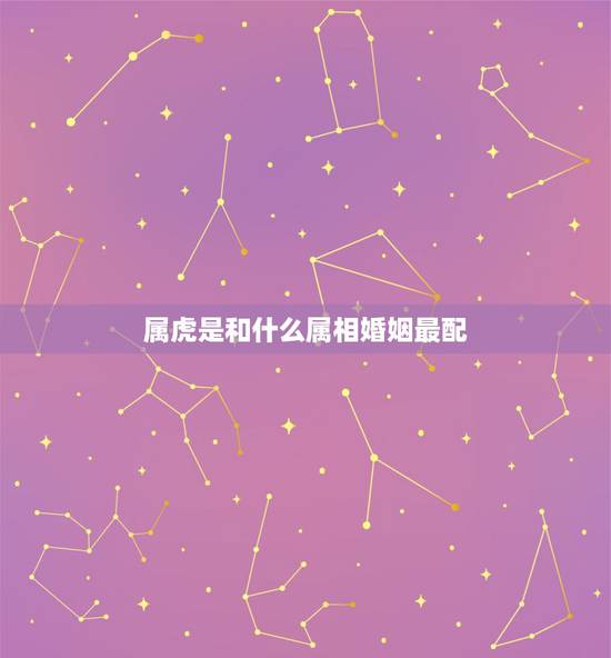 属虎是和什么属相婚姻最配,属虎的最佳配对属相是什么? 属虎是和什么属相婚姻最配,属虎的最佳配对属相是什么?