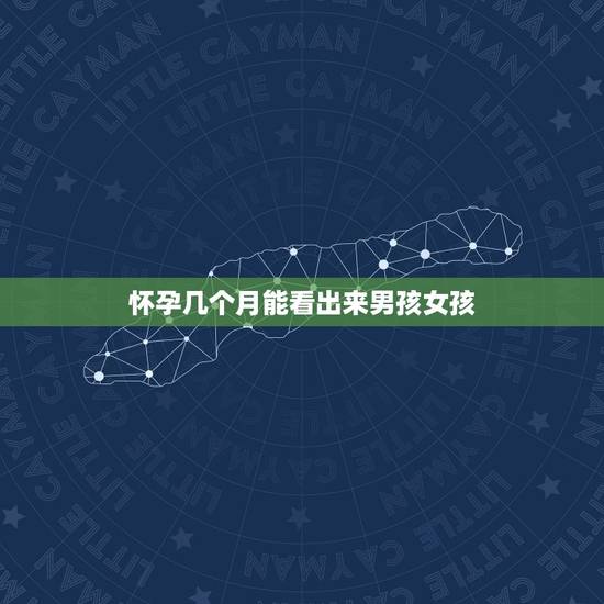 怀孕几个月能看出来男孩女孩，六个月b超两次第一次说不清但像男孩第二次说