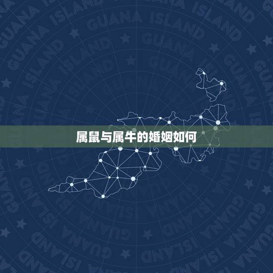 属鼠与属牛的婚姻如何,女属鼠和男属牛的婚姻 属鼠与属牛的婚姻如何,女属鼠和男属牛的婚姻