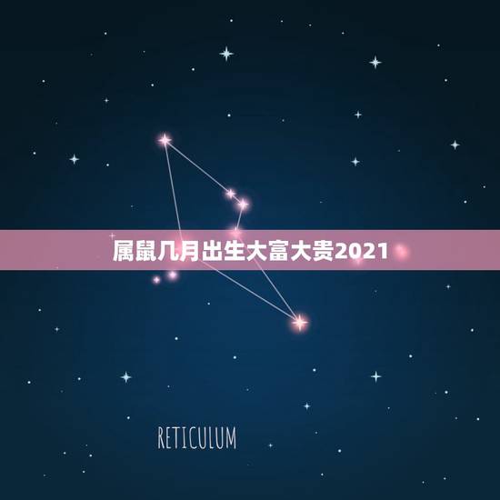 属鼠几月出生大富大贵2021，属鼠2021年运势及运程每月运程