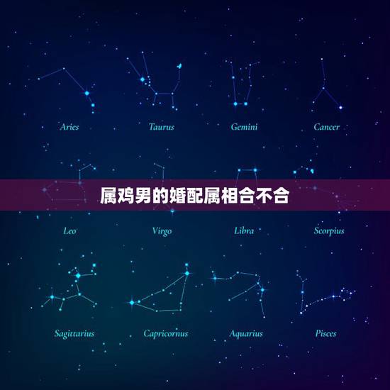 属鸡男的婚配属相合不合,属鸡婚配表,鸡男跟什么属相最配 属鸡男的婚配属相合不合,属鸡婚配表,鸡男跟什么属相最配