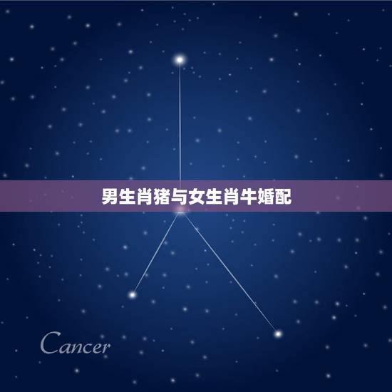 男生肖猪与女生肖牛婚配，属猪男与属牛女能婚配吗