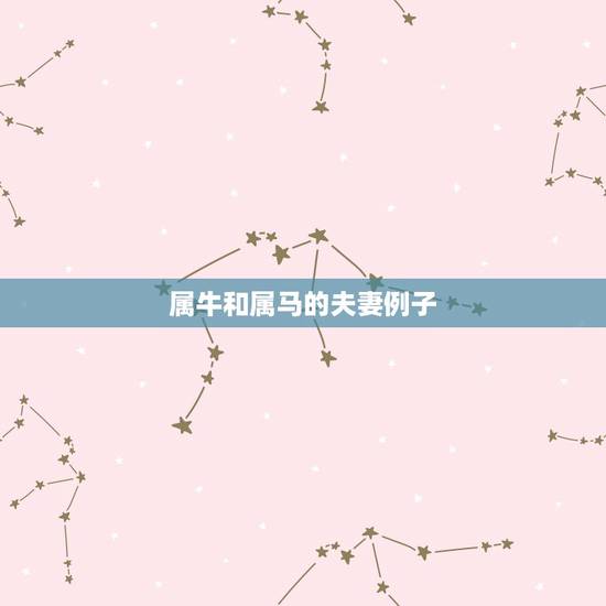 属牛和属马的夫妻例子,属牛的和属马的夫妻怎样相处 属牛和属马的夫妻例子,属牛的和属马的夫妻怎样相处