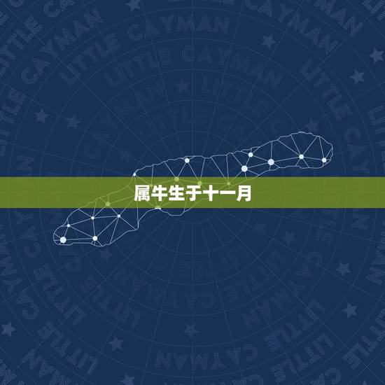 属牛生于十一月,2022 金牛年11月出生宝宝 属牛生于十一月,2022 金牛年11月出生宝宝
