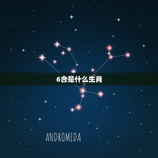 6合是什么生肖,虎的六6合是什么生肖 6合是什么生肖,虎的六6合是什么生肖