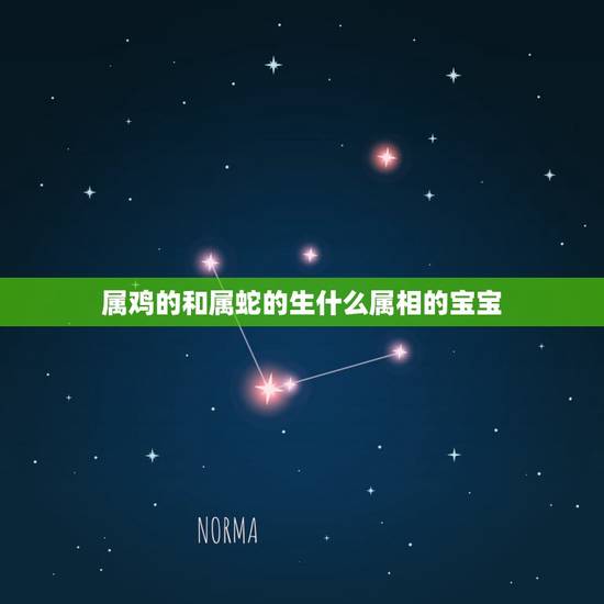 属鸡的和属蛇的生什么属相的宝宝,男属鸡,女属蛇生什么属相的孩子好 属鸡的和属蛇的生什么属相的宝宝,男属鸡,女属蛇生什么属相的孩子好
