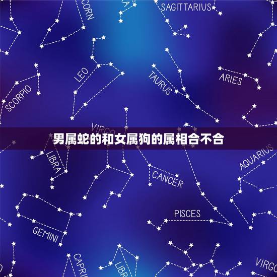 男属蛇的和女属狗的属相合不合，属蛇男士和属狗的女士婚配的结果是好是坏。