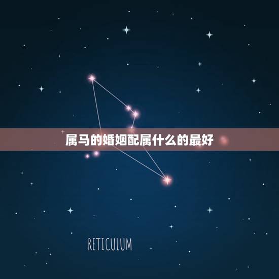 属马的婚姻配属什么的最好，属马的婚姻和属什么最配呢