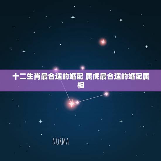 十二生肖最合适的婚配 属虎最合适的婚配属相