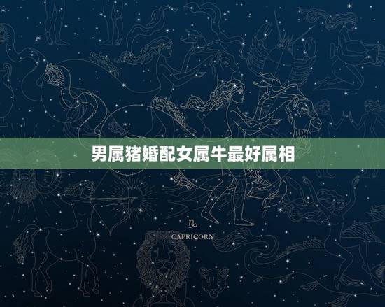 男属猪婚配女属牛最好属相,男属猪女属牛相配吗 男属猪婚配女属牛最好属相,男属猪女属牛相配吗