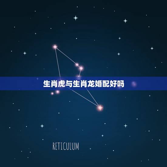 生肖虎与生肖龙婚配好吗,属龙与属虎能婚配吗 生肖虎与生肖龙婚配好吗,属龙与属虎能婚配吗