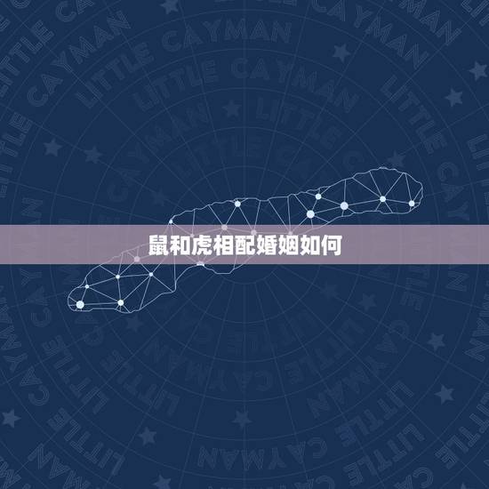 鼠和虎相配婚姻如何，属鼠和属虎相配吗？
