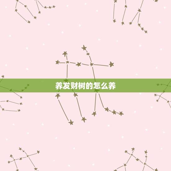 养发财树的怎么养，发财树怎么养的更好？