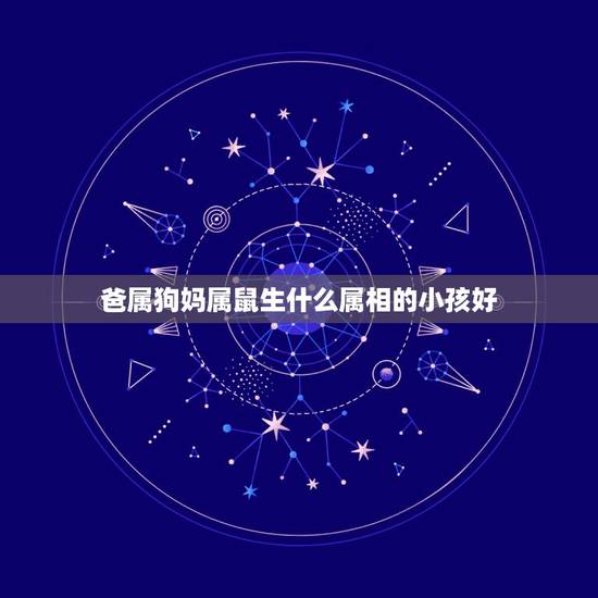 爸属狗妈属鼠生什么属相的小孩好,我属狗,老公属鼠,生什么生肖的宝宝好? 爸属狗妈属鼠生什么属相的小孩好,我属狗,老公属鼠,生什么生肖的宝宝好?