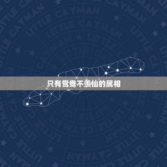 只有鸳鸯不羡仙的属相,只羡鸳鸯不羡仙代表什么生肖? 只有鸳鸯不羡仙的属相,只羡鸳鸯不羡仙代表什么生肖?