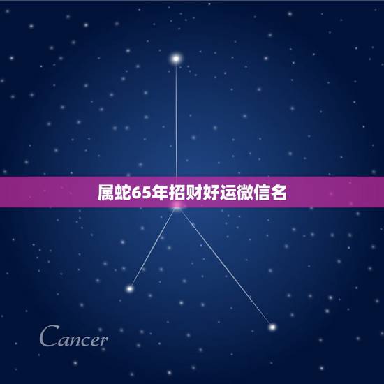 属蛇65年招财好运微信名,微信头像那些最吉利? 属蛇65年招财好运微信名,微信头像那些最吉利?