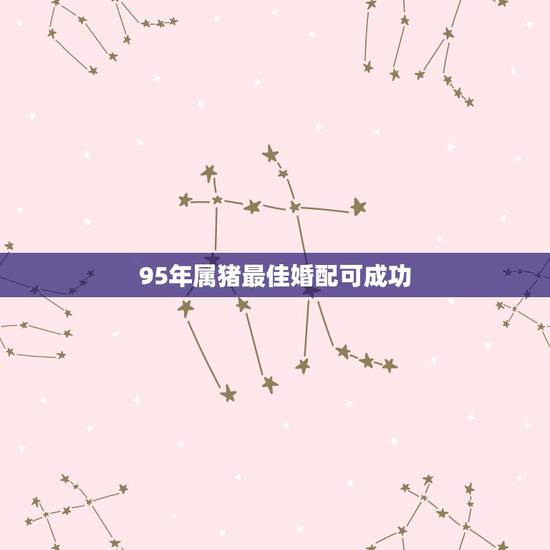 95年属猪最佳婚配可成功,女属猪95年4月的属相婚配表 95年属猪最佳婚配可成功,女属猪95年4月的属相婚配表