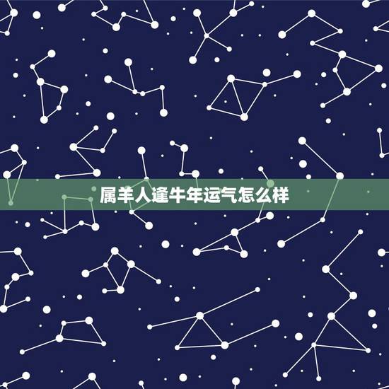 属羊人逢牛年运气怎么样，属龙人牛年运势2022