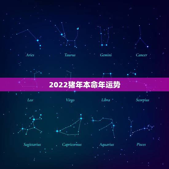 2022猪年本命年运势，属虎人2021年运势及运程每月运程