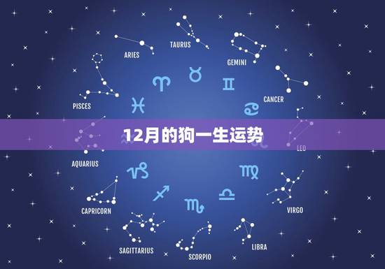 12月的狗一生运势,82年狗12月02日生的一生命运 12月的狗一生运势,82年狗12月02日生的一生命运