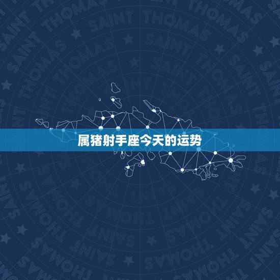 属猪射手座今天的运势，属猪1995男射手座2011学业运势