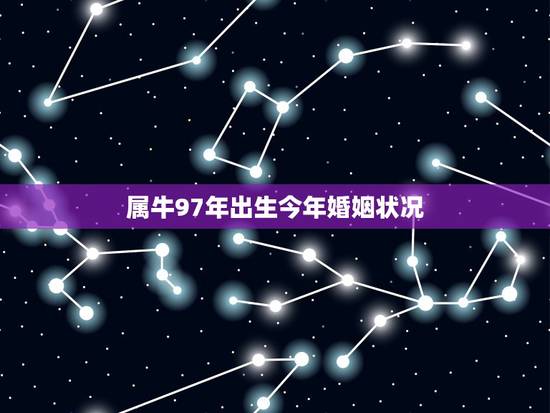属牛97年出生今年婚姻状况，1985属牛男的一生婚姻