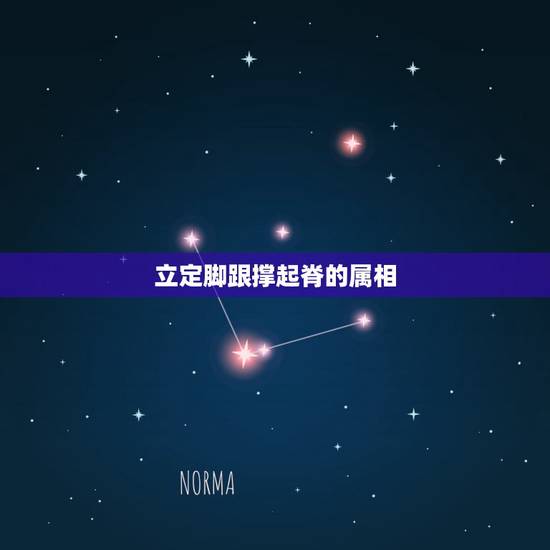 立定脚跟撑起脊的属相，欲论古来兴废事