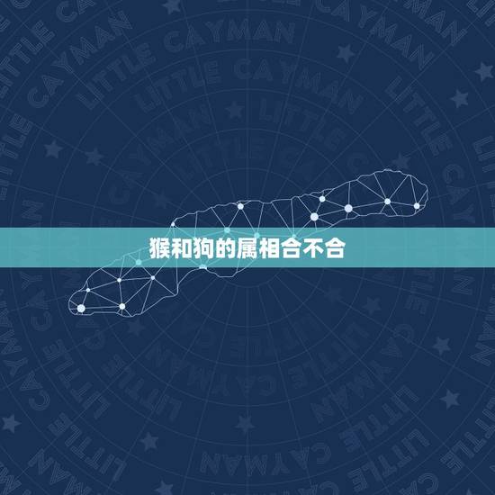 猴和狗的属相合不合,猴和狗的婚姻怎么样 猴和狗的属相合不合,猴和狗的婚姻怎么样