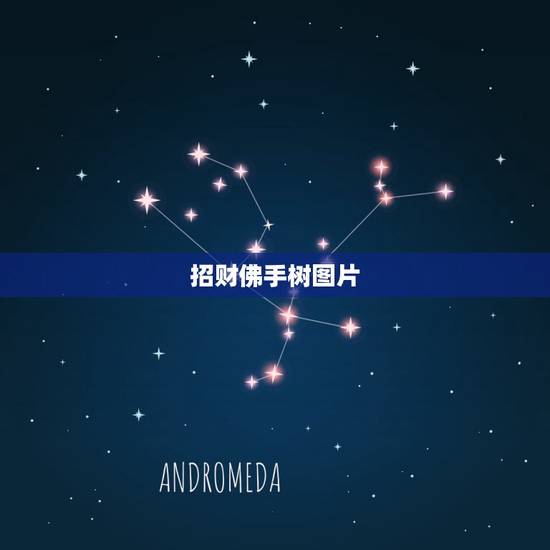招财佛手树图片，为什么我养的招财佛手树枝有黏黏糊糊的东西啊