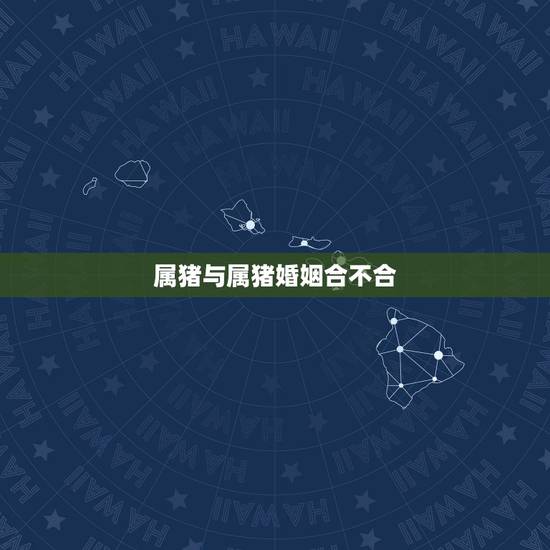 属猪与属猪婚姻合不合，两个95属猪的结婚好吗