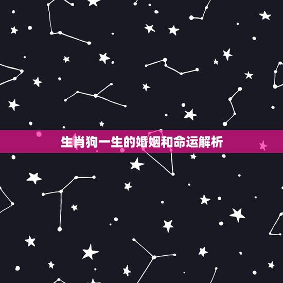 生肖狗一生的婚姻和命运解析,82年狗人一生三次婚姻 生肖狗一生的婚姻和命运解析,82年狗人一生三次婚姻