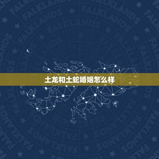 土龙和土蛇婚姻怎么样,婚姻到什么程度该离婚 土龙和土蛇婚姻怎么样,婚姻到什么程度该离婚