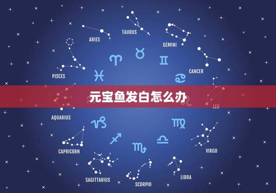 元宝鱼发白怎么办，元宝鱼发白不红了怎么回事呀？