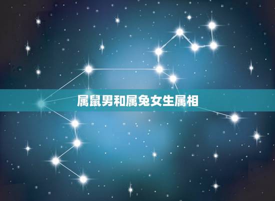 属鼠男和属兔女生属相,属鼠男和属兔女做夫妻相配吗 属鼠男和属兔女生属相,属鼠男和属兔女做夫妻相配吗