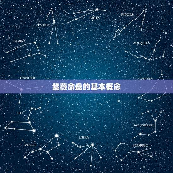 紫薇命盘的基本概念 紫薇命盘的基本概念